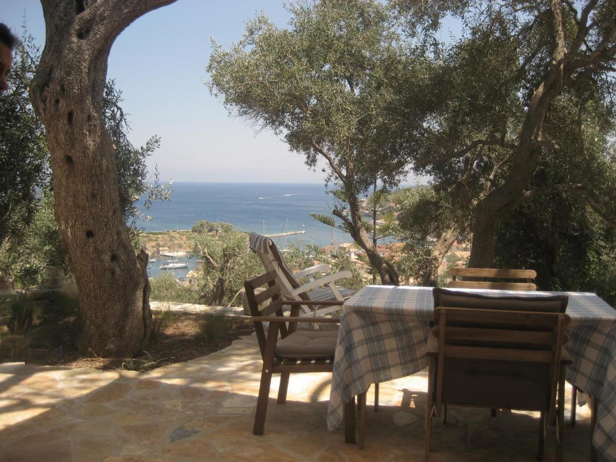Bougainvillea * Gaios
